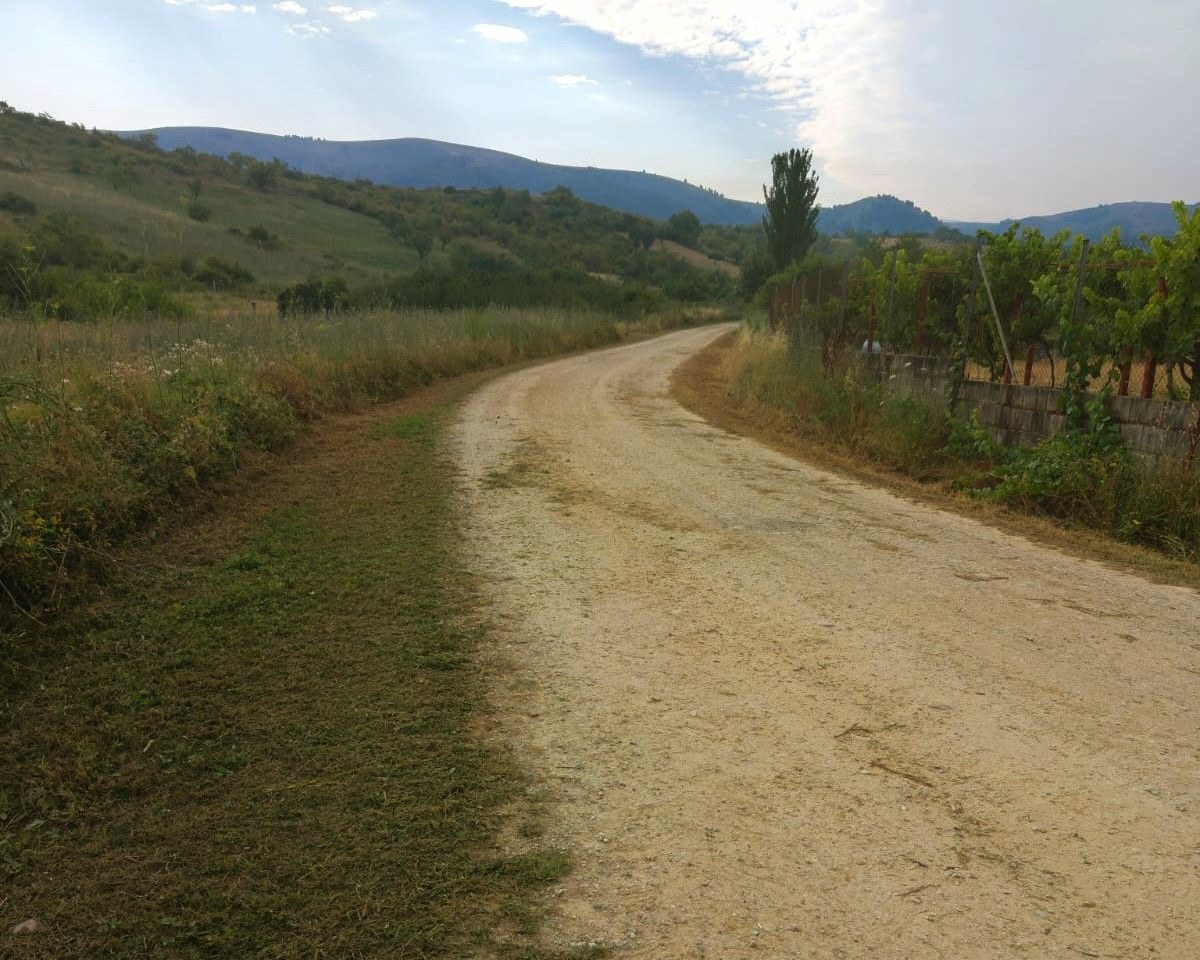 Camino de Santiago en Campo Escaril con vegetación y paisaje montañoso