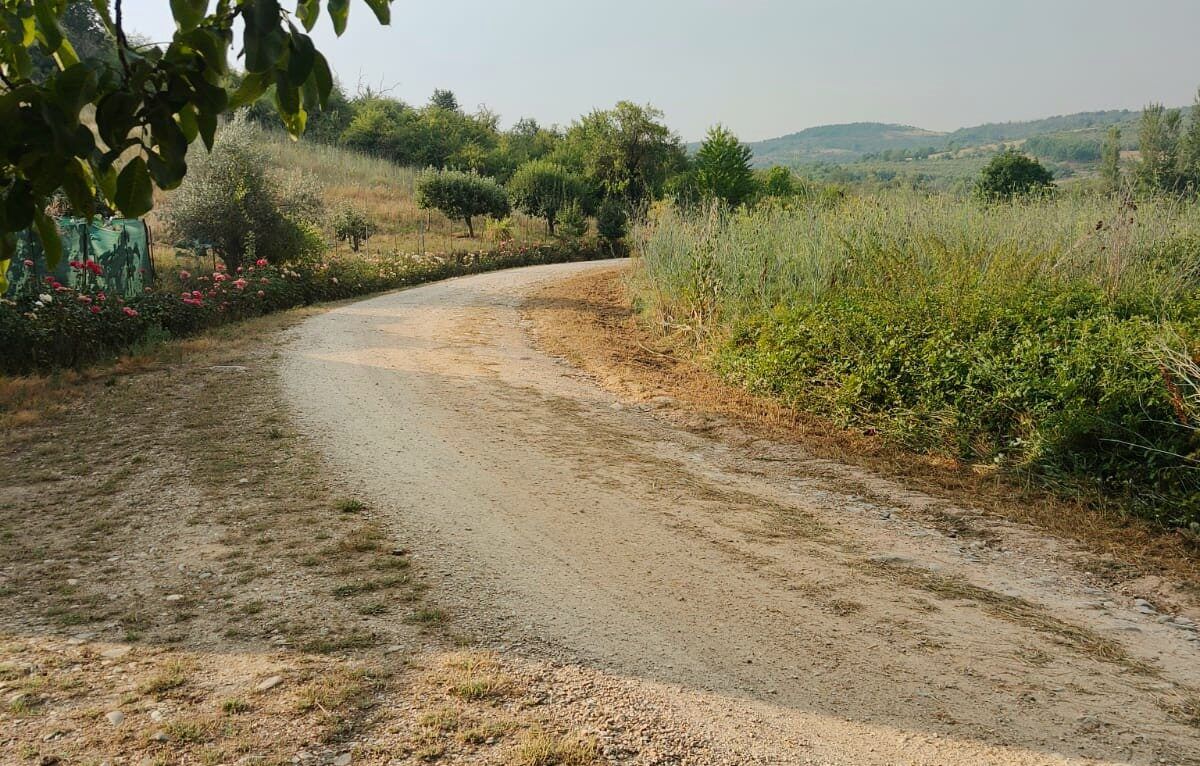 Camino de Santiago en Campo Escaril con vegetación y sendero