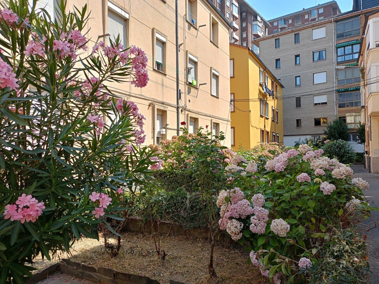 Jardines renovados con flores y plantas en la calle Sindical