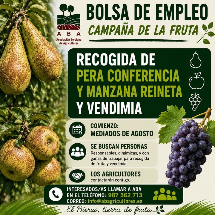 Cartel de bolsa de empleo para recogida de frutas en Carracedelo