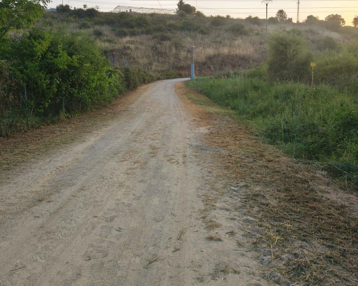 Camino de Santiago en Campo Escaril tras desbroce