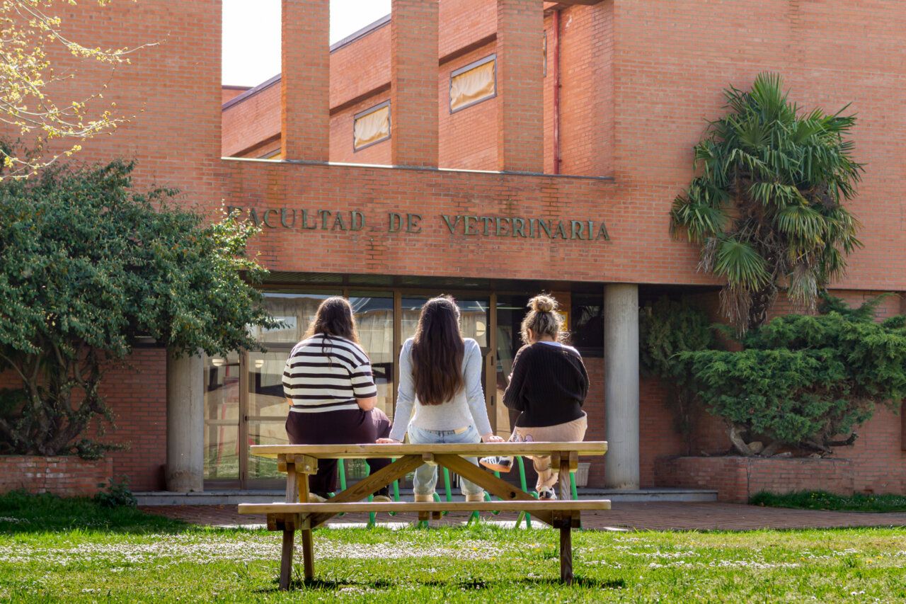 Tres estudiantes sentadas frente a la Facultad de Veterinaria