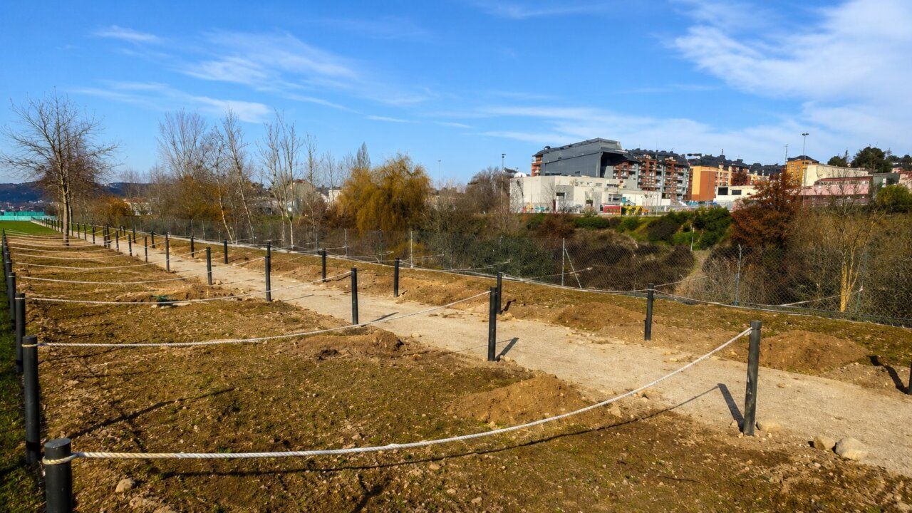 Parcela de huertos urbanos en Ponferrada con cercas y árboles