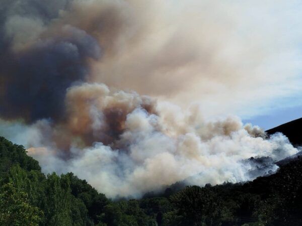 Incendio forestal en Quintela con humo y llamas visibles