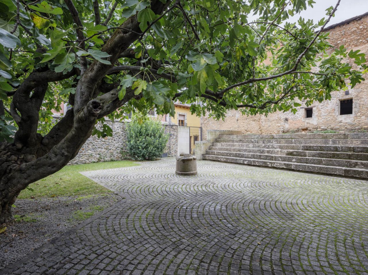 Patio del Museo del Bierzo con un higuera y escaleras de piedra