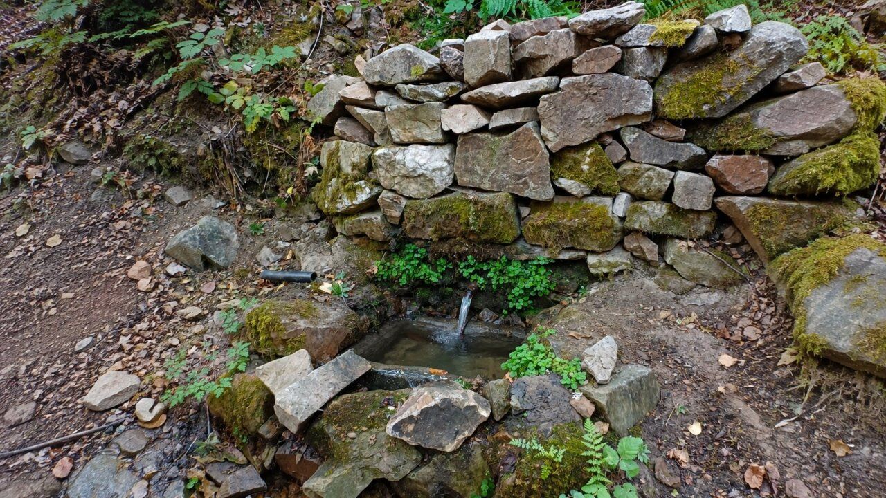 La Fuente de la Risa manando entre un entorno natural afectado por el fuego.