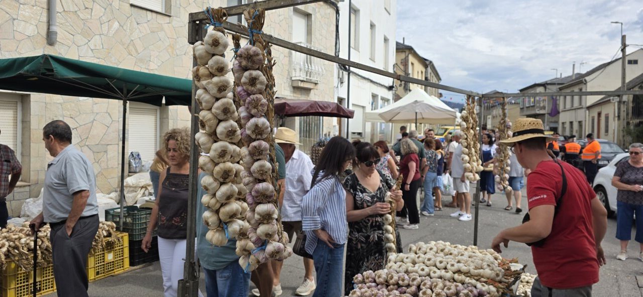 Puestos de ajo en la Feria del Ajo de San Miguel de las Dueñas