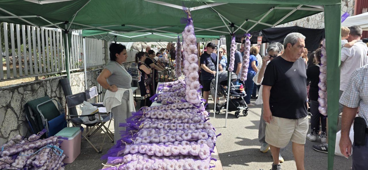 Puestos de ajo en la Feria del Ajo de San Miguel de las Dueñas