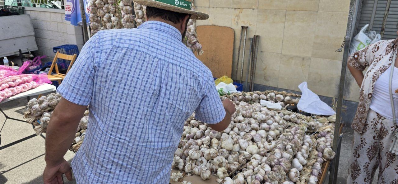 Hombre seleccionando ajos en la Feria del Ajo de San Miguel de las Dueñas