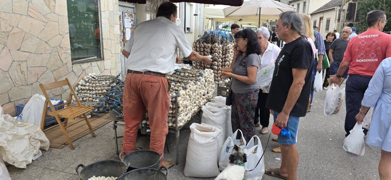 Personas comprando ajo en la Feria del Ajo de San Miguel de las Dueñas