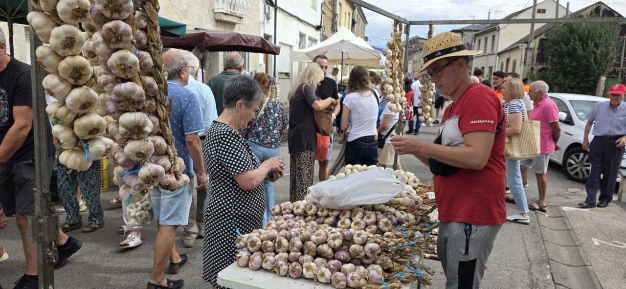 Visitantes comprando ajo en la Feria del Ajo de San Miguel de las Dueñas