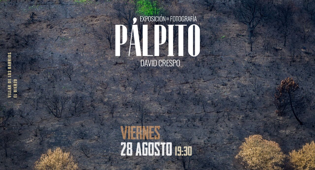 Cartel de la exposición fotográfica PÁLPITO de David Crespo