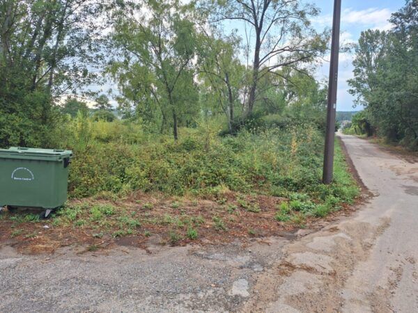 Parcela municipal en Camponaraya con vegetación densa y un contenedor de basura