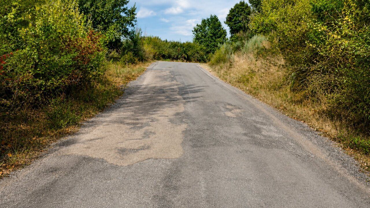 Carretera rural en mal estado rodeada de vegetación