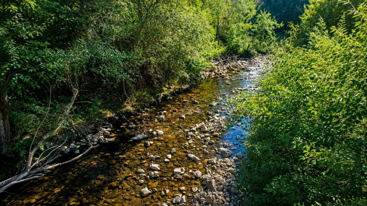 Cauce del río Boeza con maleza y piedras en Albares de la Ribera
