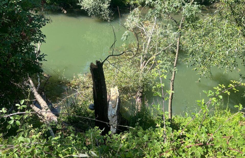 Vista del río Boeza rodeado de vegetación densa y maleza