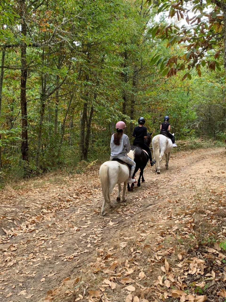 Familias montando a caballo en el bosque durante el festival Villar de los Mundos