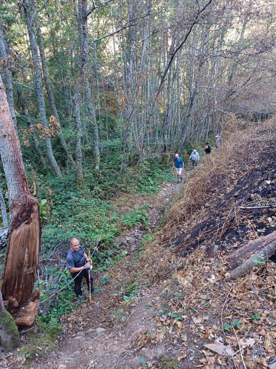 Senderistas en un camino hacia la Fuente de la Risa en Bembibre