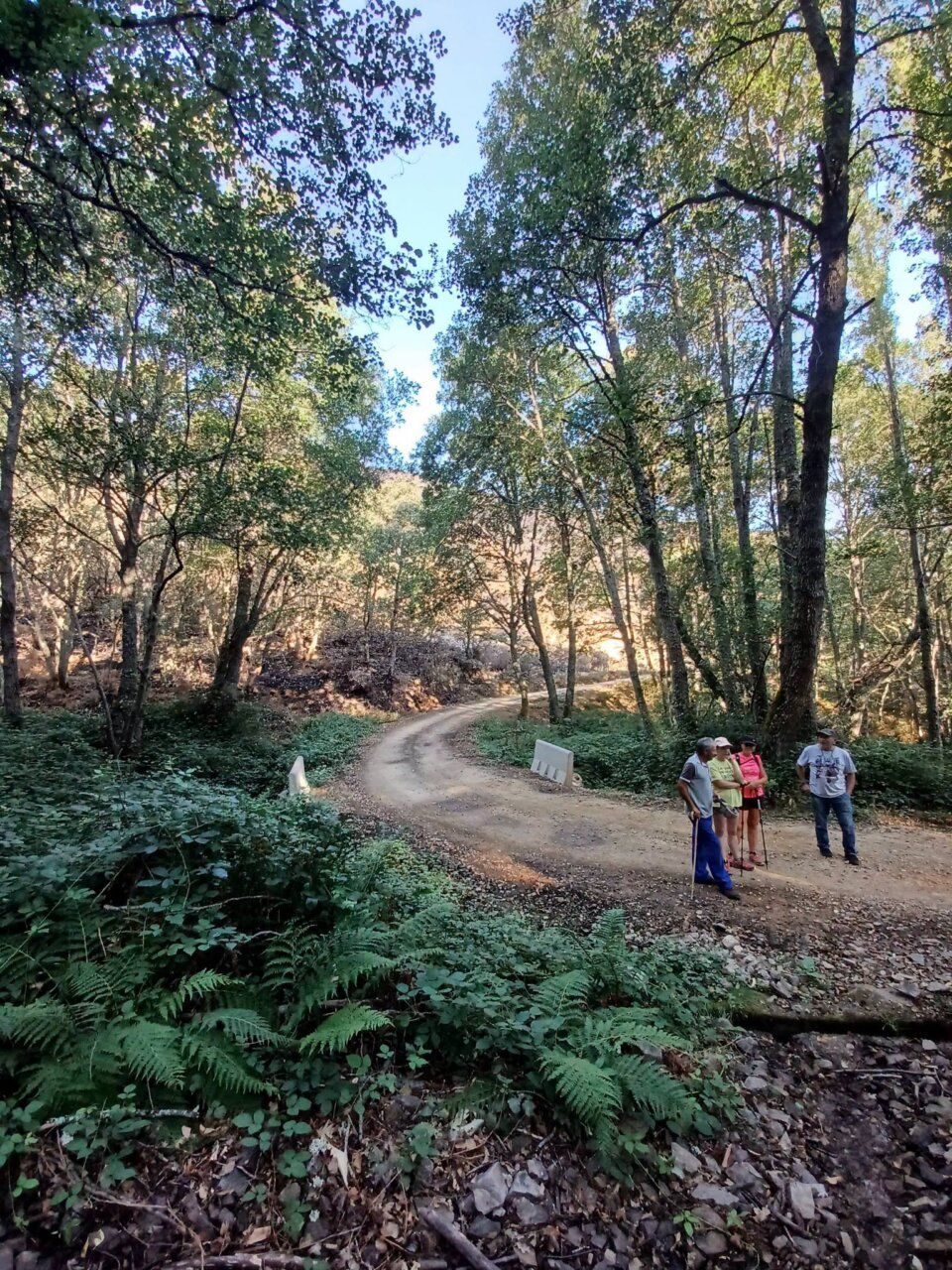 Ruta hacia la Fuente de la Risa en un entorno natural afectado por el fuego