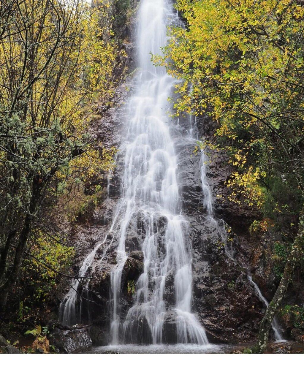 Cascada en Matarrosa del Sil rodeada de árboles en otoño