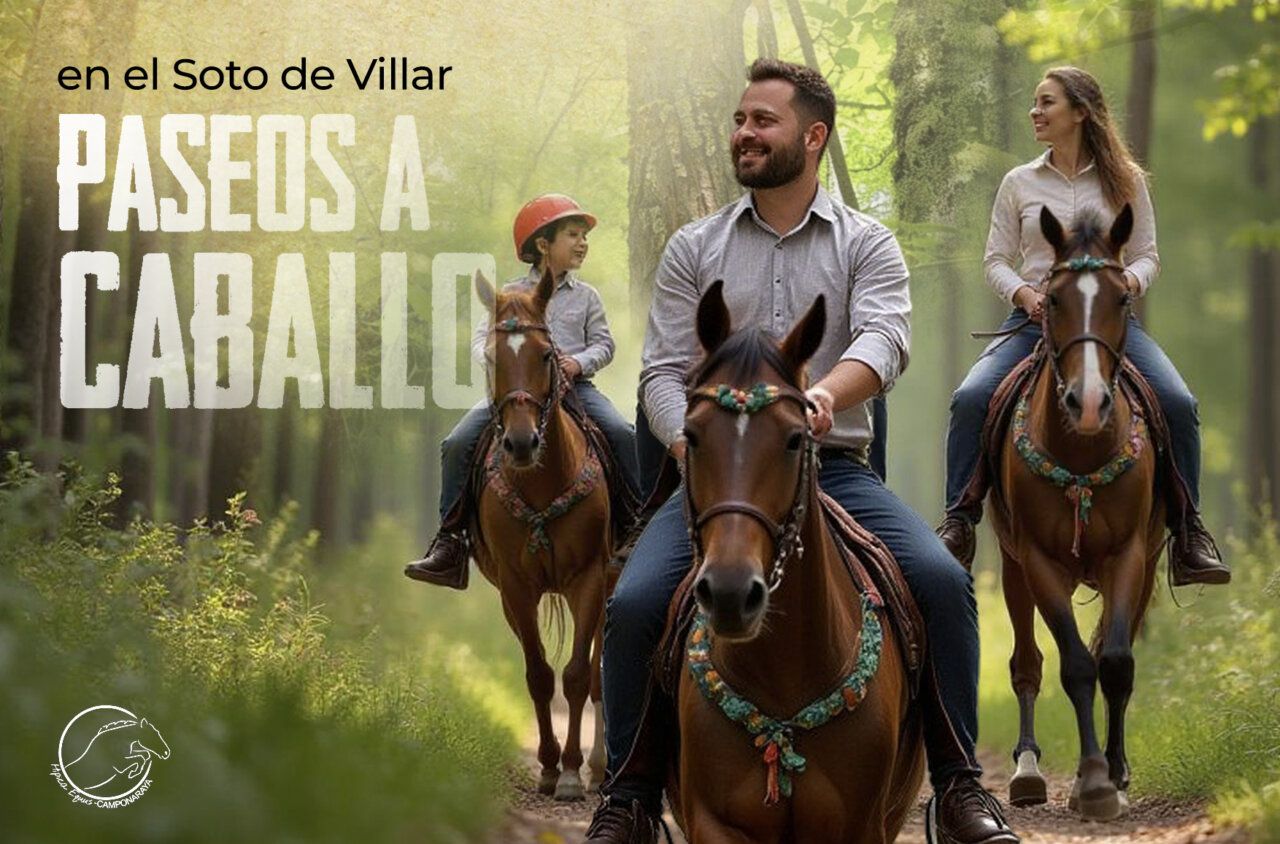 Familia disfrutando de paseos a caballo en un bosque