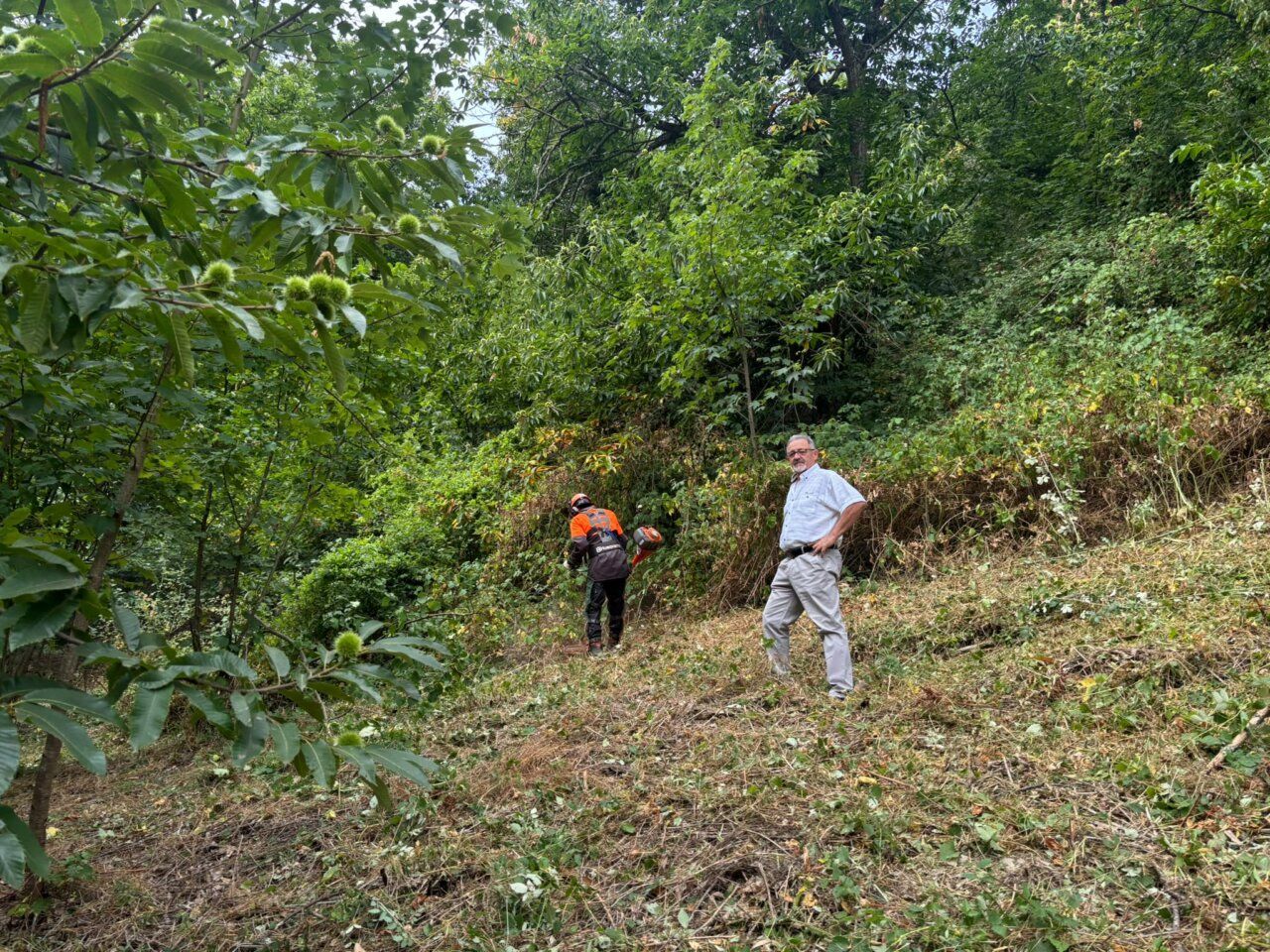 Trabajadores realizando labores de desbroce en San Clemente de Valdueza