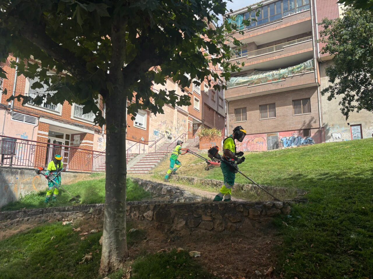 Trabajadores del servicio de parques y jardines en Ponferrada realizando mantenimiento.