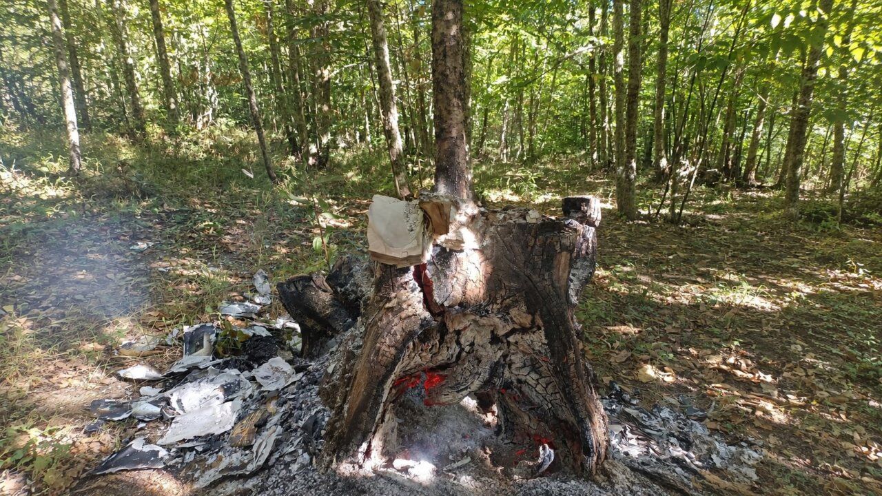 Restos de una minibiblioteca quemada en un bosque del Bierzo