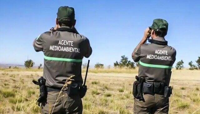 Agentes medioambientales observando el paisaje en una protesta