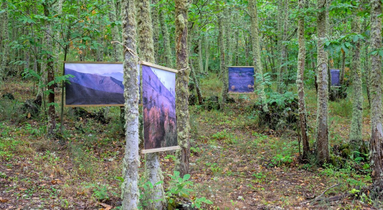 Exposición de fotografías en el bosque del Soto de Villar