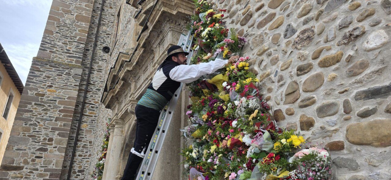 Hombre colocando flores en la pared durante las fiestas de La Encina en Ponferrada