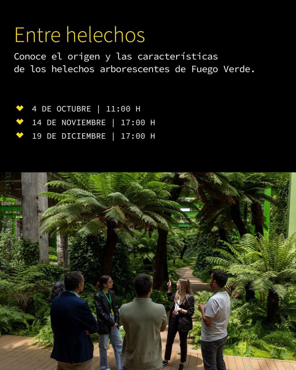 Grupo de personas en un recorrido por los helechos en La Térmica Cultural