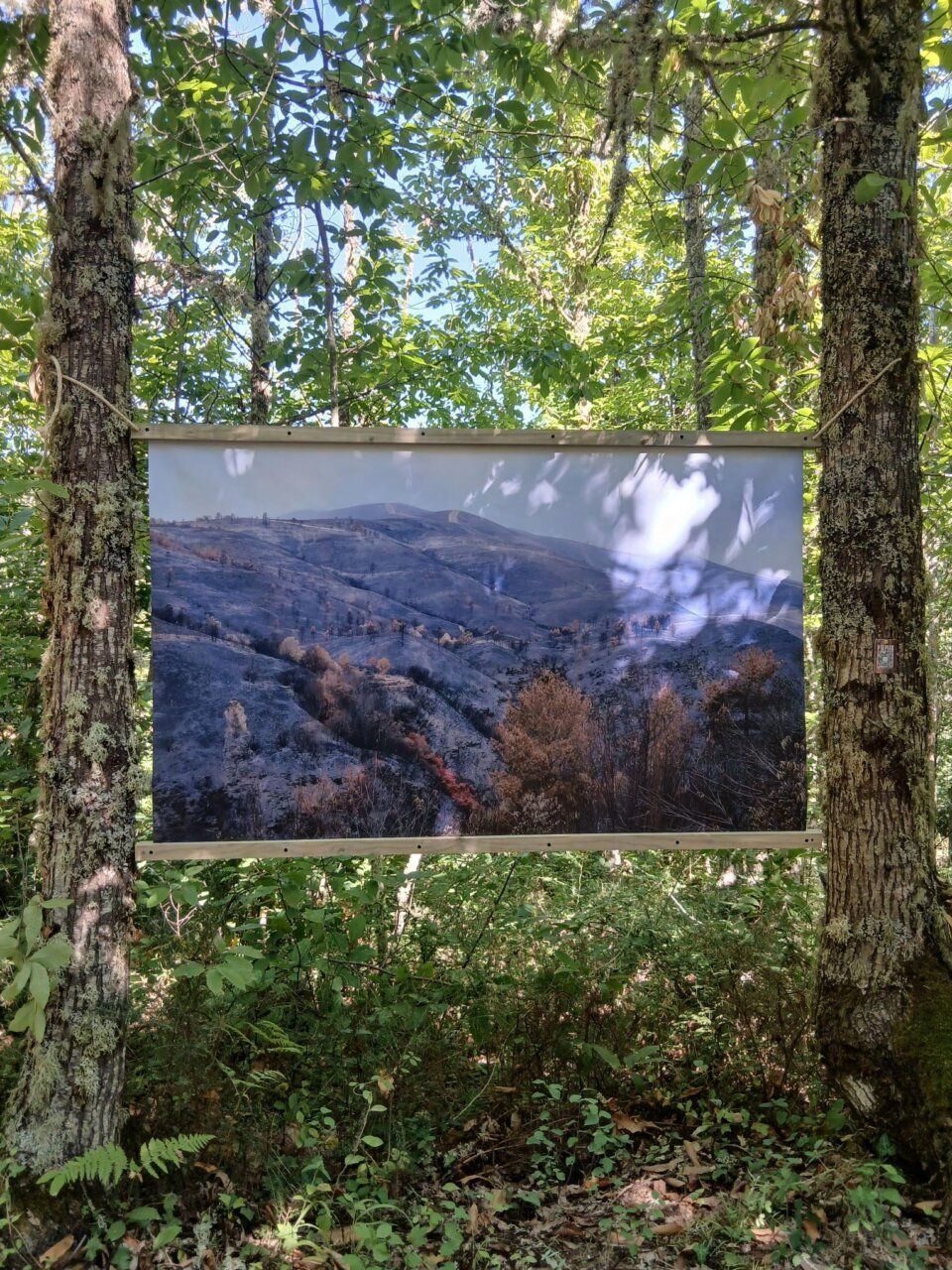 Fotografía de la exposición PÁLPITO en el Soto de Villar