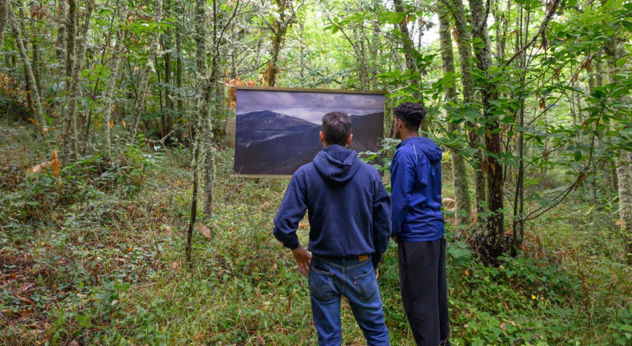Dos personas observando una fotografía en un bosque durante la exposición 'PÁLPITO'.
