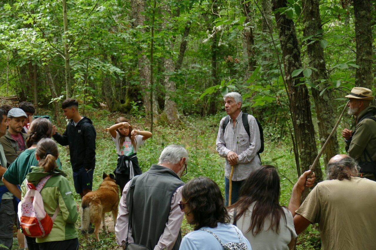 Grupo de personas en un bosque durante el Festival Villar de los Mundos