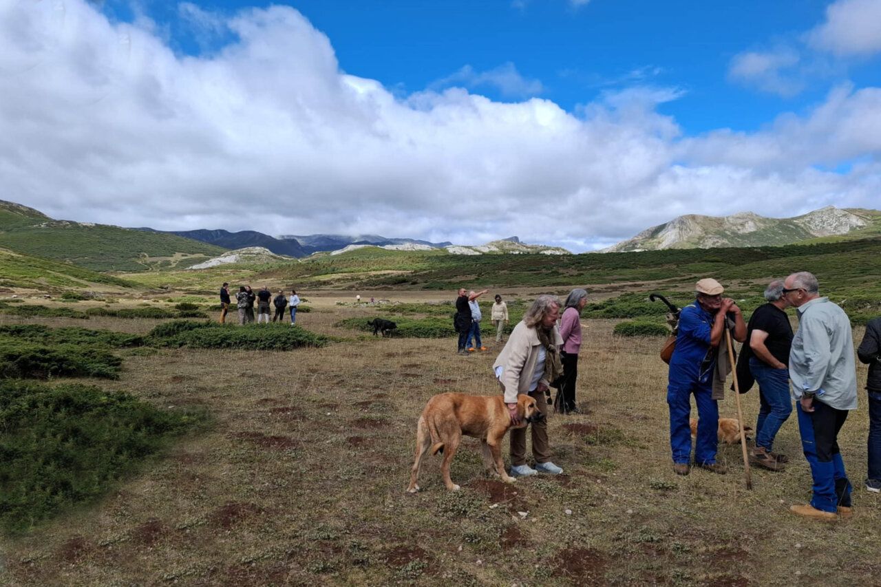 Reunión de pastores y perros en Babia durante jornada de trabajo
