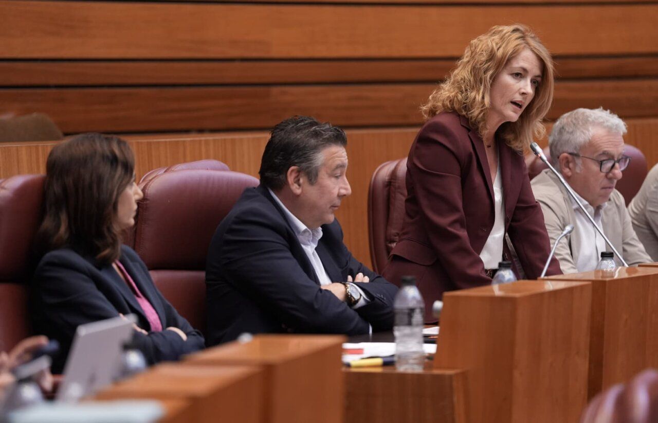 Rosa Quintanilla hablando en las Cortes de Castilla y León
