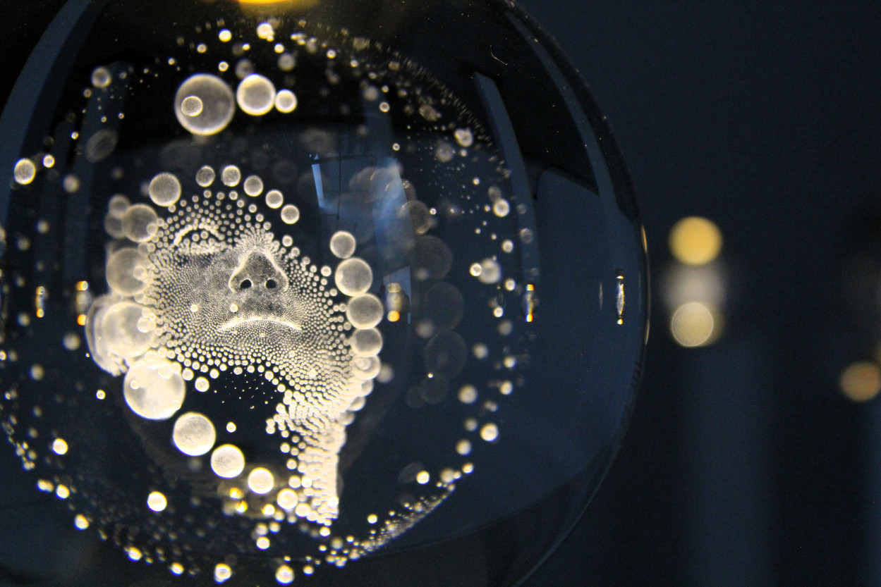 Escultura de luz con burbujas y rostro humano en la exposición