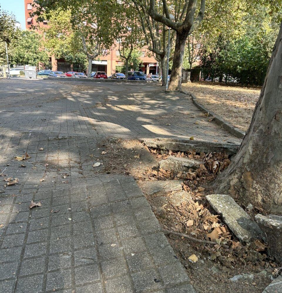 Estado del pavimento en el entorno del C.I. Peñalba en Ponferrada