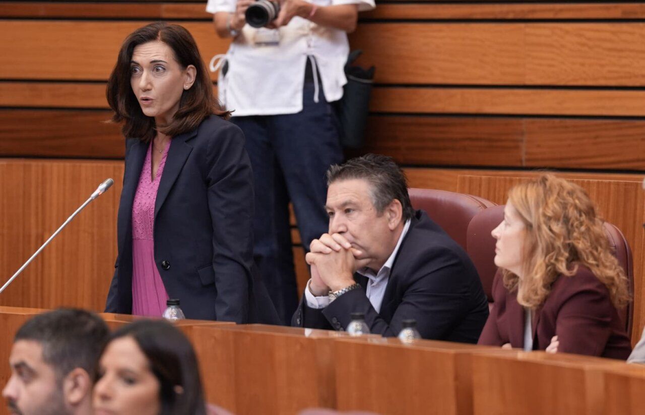 Alicia Gallego, portavoz de UPL, en las Cortes de Castilla y León.