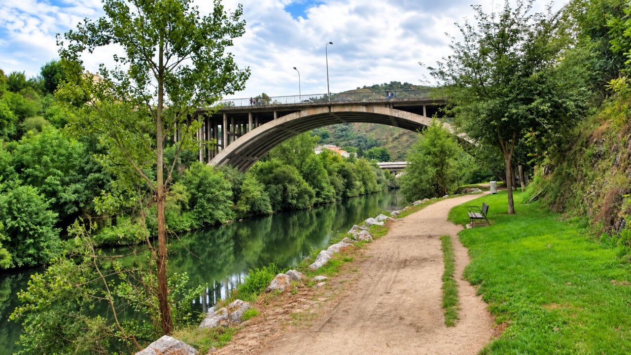 Vista del puente García Ojeda sobre el río con vegetación alrededor