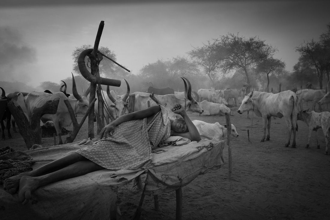 Fotografía en blanco y negro de una persona descansando en un entorno rural con ganado.