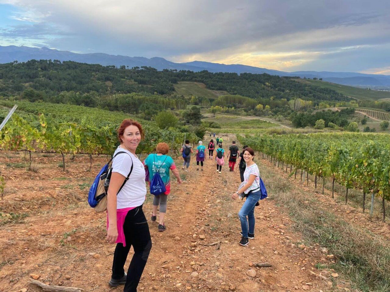 Grupo de personas caminando por un sendero en viñedos en Arganza