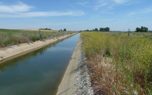 Canal de riego revestido de hormigón entre campos bajo un cielo despejado