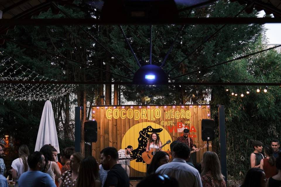 Escenario del Cocodrilo Negro con músicos y público disfrutando de un concierto.