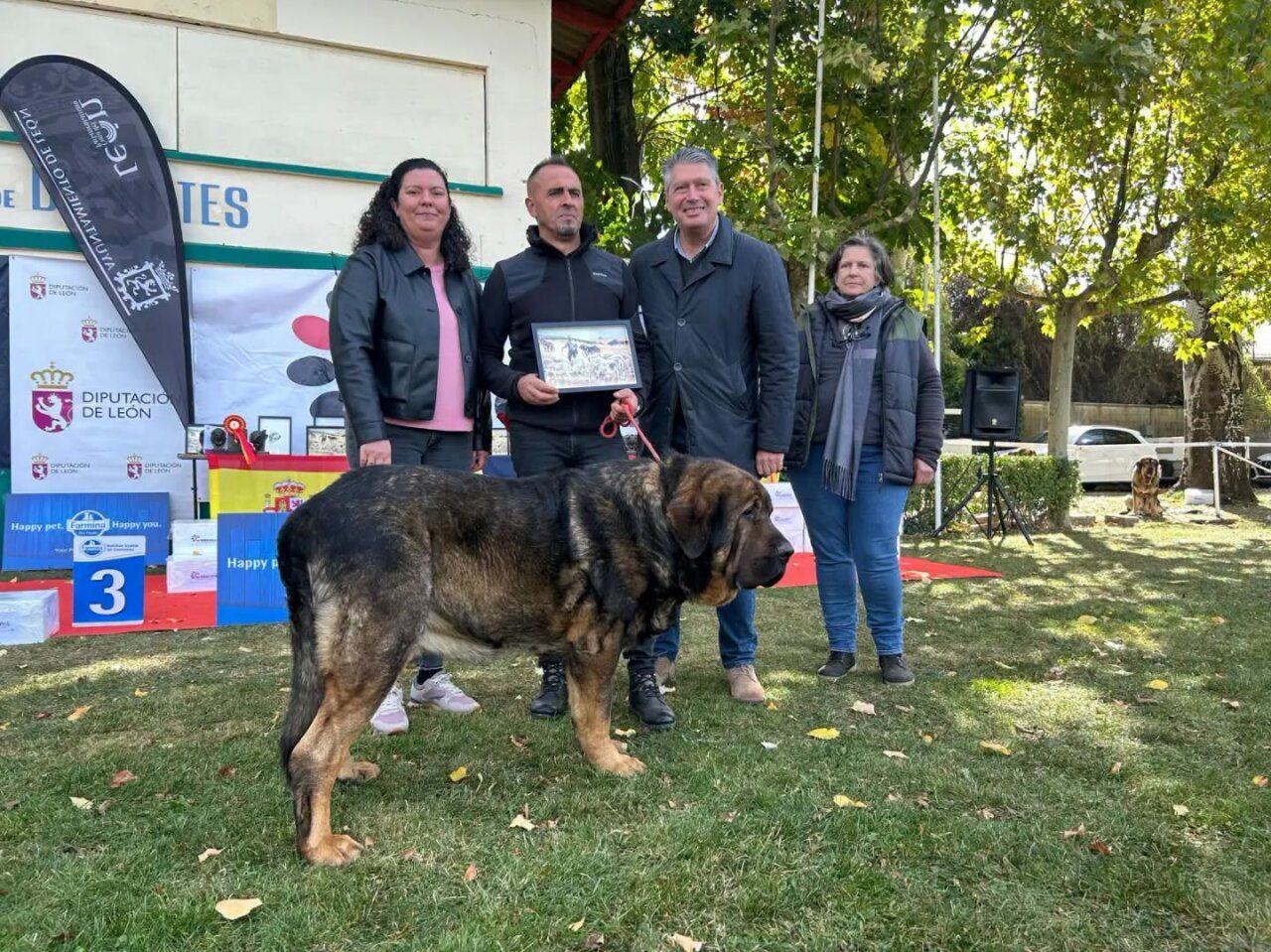 Un mastín grande posa frente a cuatro personas junto a un podio de exposición.