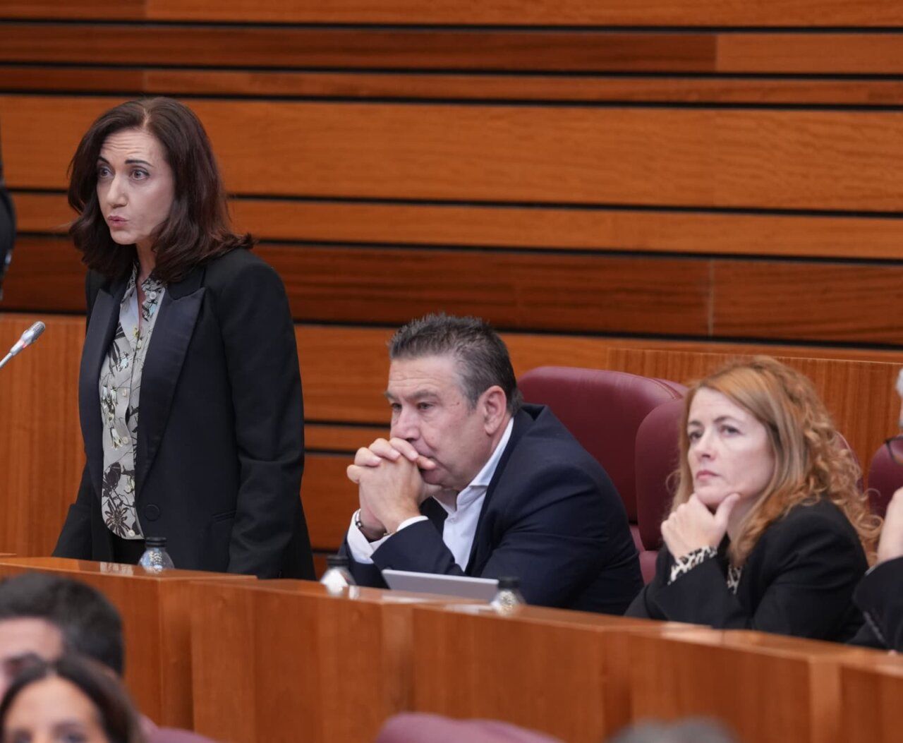 Una mujer de pie junto a varias personas sentadas en una sala de sesiones.
