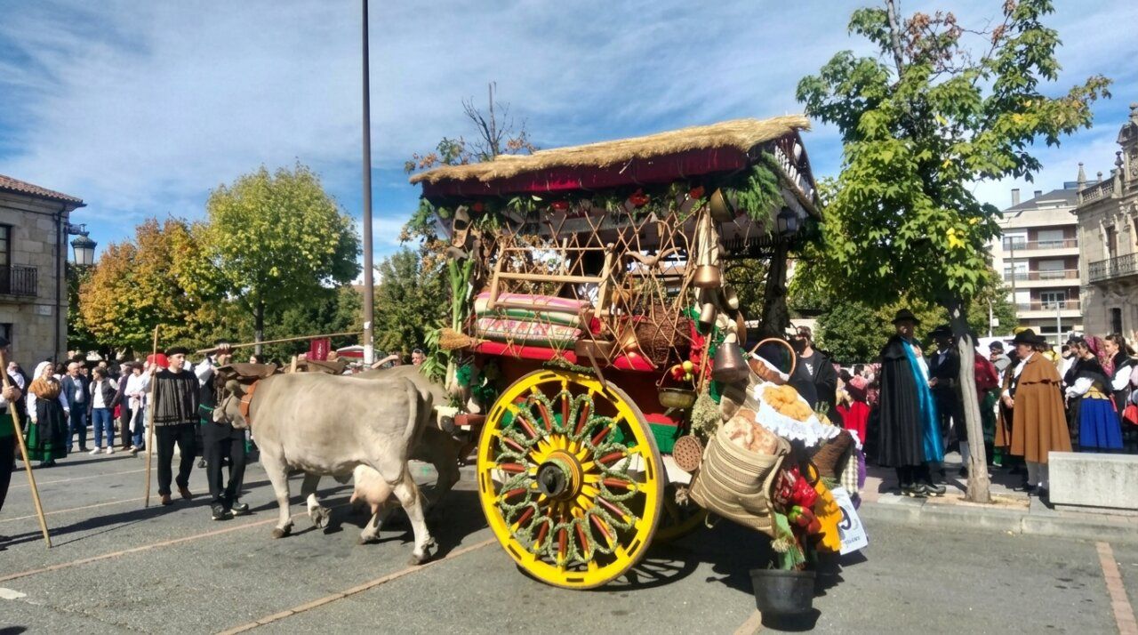 Carro engalanado con flores y decoraciones en el desfile de San Froilán en León