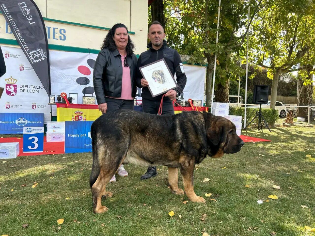 Dos personas posan junto a un mastín español en una exposición canina