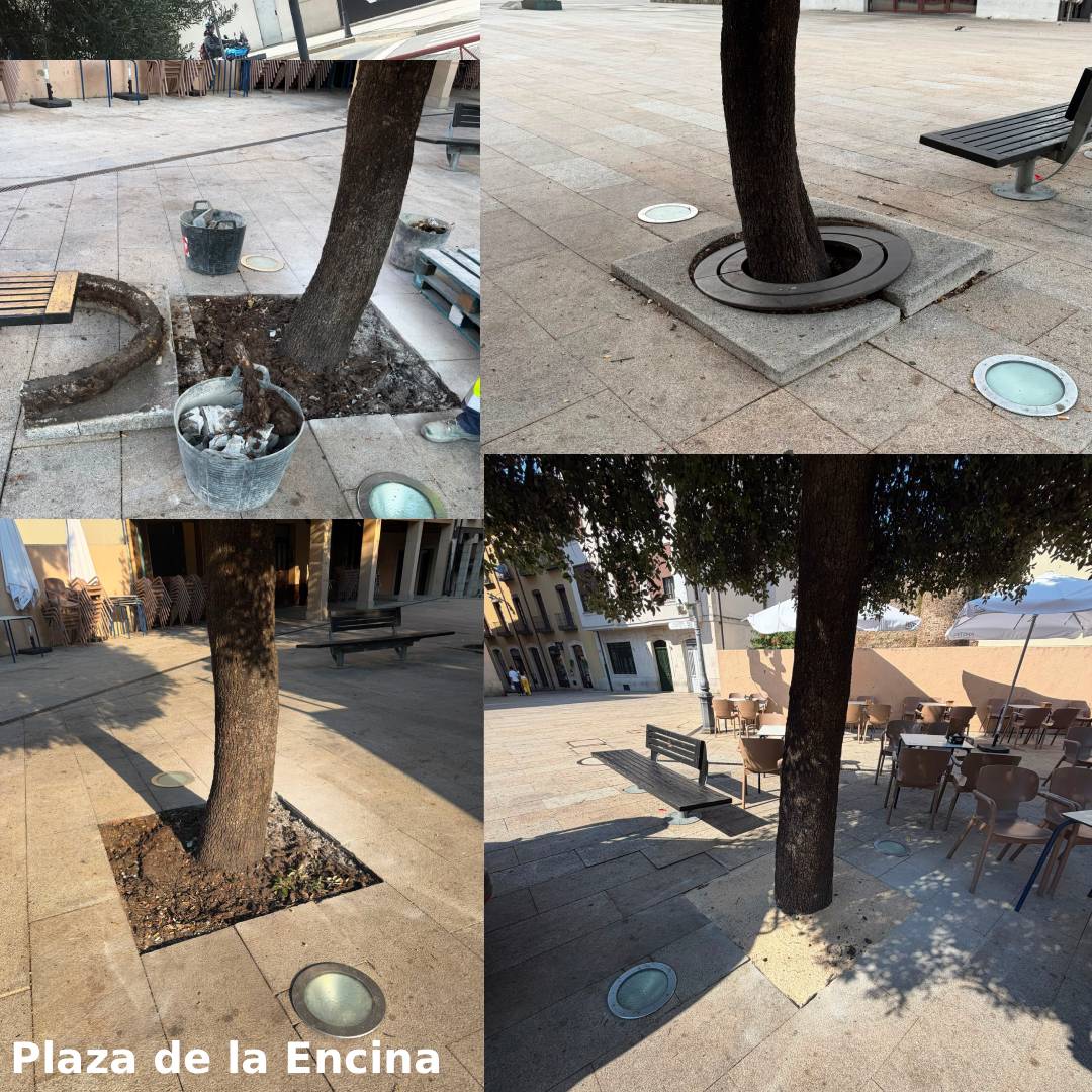 Trabajos de mejora en la Plaza de la Encina en Ponferrada